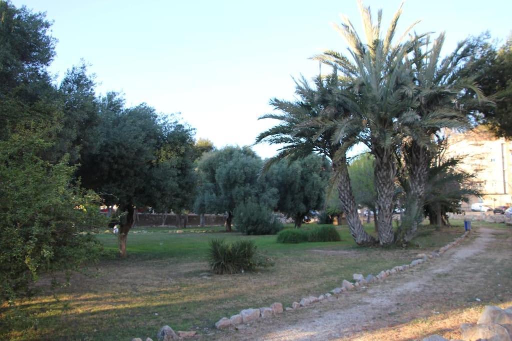 Tesoro Del Eden Apartamento Torrevieja Exterior foto